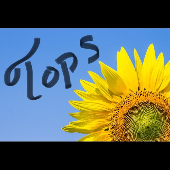 Tops. Blouses. T-shirts. Sweatshirts. - Picture 2 of 2